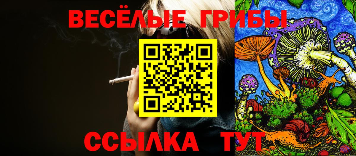 Советский  Псилоцибиновые грибы Psilocybe  Вход с VPN 