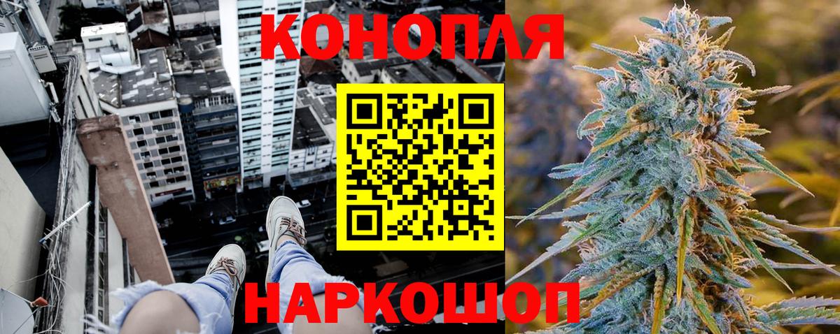 Каннабис конопля Советский